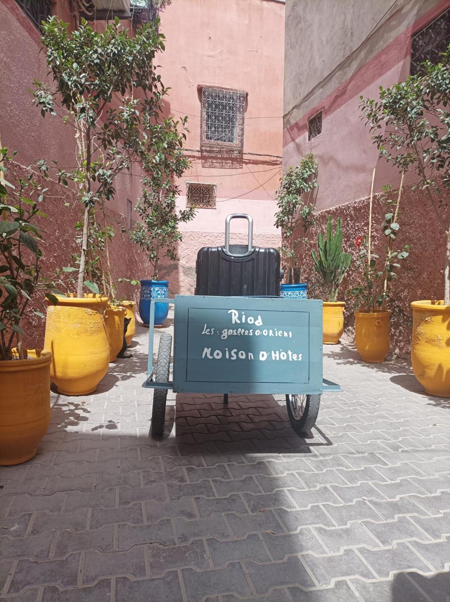 Riad Les Gazelles D'Orient Marrakech Marrakesh Exterior foto
